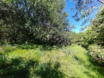 Prodej pozemku 1359 m², Karlovice