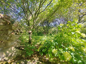 Prodej pozemku 1359 m², Karlovice