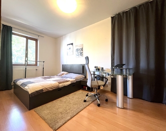 Pronájem bytu 3+kk v osobním vlastnictví 58 m², Praha 10 - Malešice