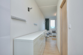 Pronájem bytu 1+1 v osobním vlastnictví 35 m², Brno