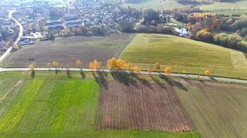 Prodej pozemku 25524 m², Petrovice