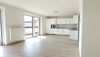 Pronájem bytu 1+kk v osobním vlastnictví 50 m², Plzeň