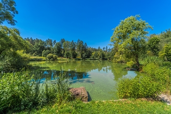 Prodej domu 83 m², Doksy