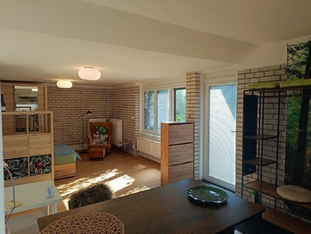 Pronájem bytu 1+kk v osobním vlastnictví 40 m², Brno