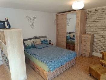 Pronájem bytu 1+kk v osobním vlastnictví 40 m², Brno