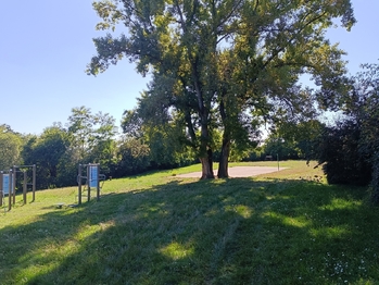 Pronájem bytu 1+kk v osobním vlastnictví 40 m², Brno