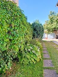 Prodej domu 202 m², Hostivice