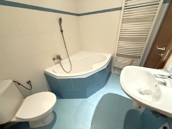 Pronájem bytu 1+kk v osobním vlastnictví 32 m², Kolín