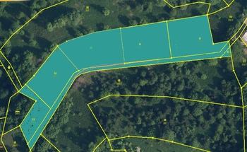 Prodej pozemku 6114 m², Líšný