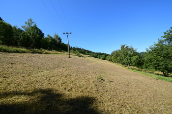 Prodej pozemku 6114 m², Líšný