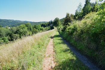 Prodej pozemku 6114 m², Líšný