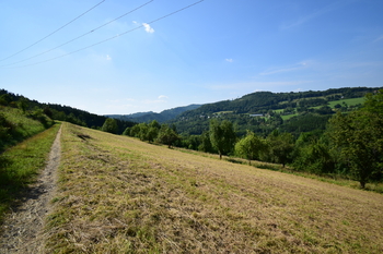 Prodej pozemku 6114 m², Líšný
