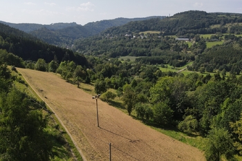 Prodej pozemku 6114 m², Líšný