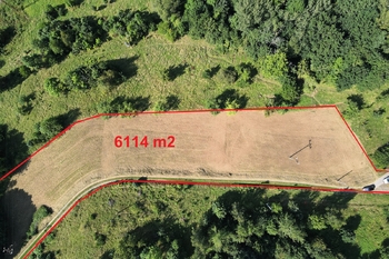 Prodej pozemku 6114 m², Líšný