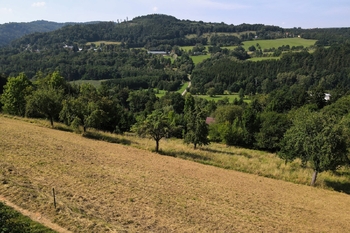 Prodej pozemku 6114 m², Líšný