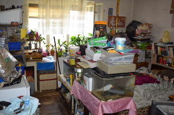 Přeplněnost - Prodej domu 132 m², Jeseník