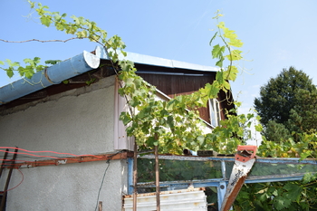 Prodej domu 132 m², Jeseník