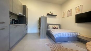 Pronájem bytu 1+1 v osobním vlastnictví 35 m², Praha 2 - Nové Město