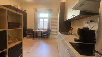 Pronájem bytu 1+1 v osobním vlastnictví 35 m², Praha 2 - Nové Město