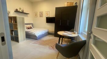 Pronájem bytu 1+1 v osobním vlastnictví 35 m², Praha 2 - Nové Město