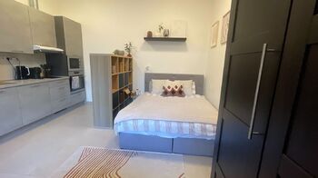 Pronájem bytu 1+1 v osobním vlastnictví 35 m², Praha 2 - Nové Město