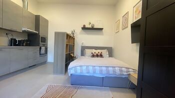 Pronájem bytu 1+1 v osobním vlastnictví 35 m², Praha 2 - Nové Město