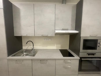 Pronájem bytu 1+1 v osobním vlastnictví 35 m², Praha 2 - Nové Město