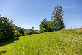Prodej pozemku 4485 m², Mikulůvka