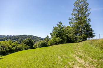Prodej pozemku 4485 m², Mikulůvka