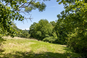 Prodej pozemku 4485 m², Mikulůvka