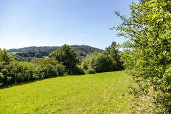 Prodej pozemku 4485 m², Mikulůvka