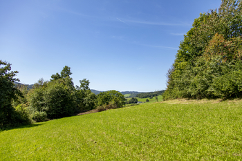 Prodej pozemku 4485 m², Mikulůvka