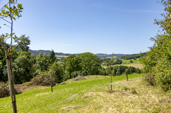 Prodej pozemku 4485 m², Mikulůvka
