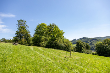 Prodej pozemku 4485 m², Mikulůvka