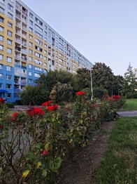 Pronájem bytu 3+kk v osobním vlastnictví 68 m², Praha 4 - Chodov