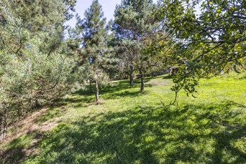 Prodej chaty / chalupy 33 m², Střelice