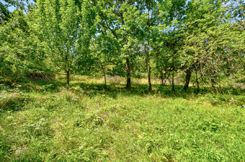 Prodej pozemku 28963 m², Přídolí