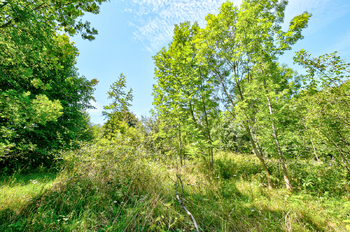 Prodej pozemku 28963 m², Přídolí