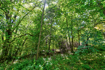 Prodej pozemku 28963 m², Přídolí