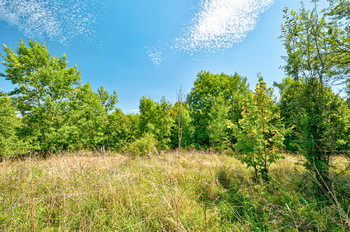 Prodej pozemku 28963 m², Přídolí