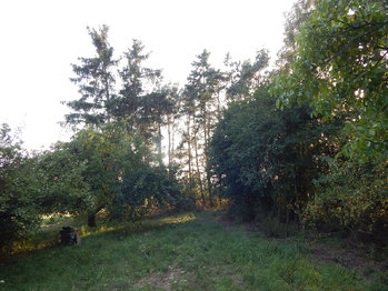 Pohled do zahrady - Prodej pozemku 1355 m², Břežany