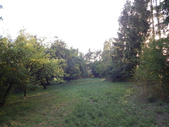 Pohled do zahrady - Prodej pozemku 1355 m², Břežany