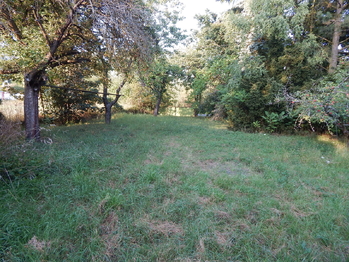 Pohled do zahrady - Prodej pozemku 1355 m², Břežany