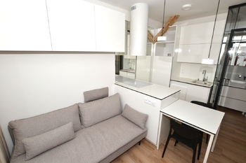 Pronájem bytu 1+kk v osobním vlastnictví 25 m², Plzeň