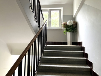 Pronájem bytu 1+kk v osobním vlastnictví 25 m², Plzeň