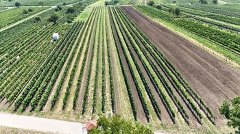 Prodej pozemku 1941 m², Rakvice