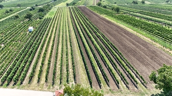 Prodej pozemku 1941 m², Rakvice