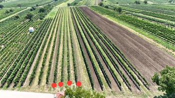 Prodej pozemku 1941 m², Rakvice