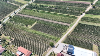 Prodej pozemku 1941 m², Rakvice