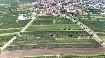 Prodej pozemku 1941 m², Rakvice